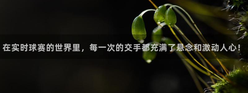 皇冠直营游戏