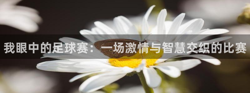 皇冠娱城网络平台安全吗